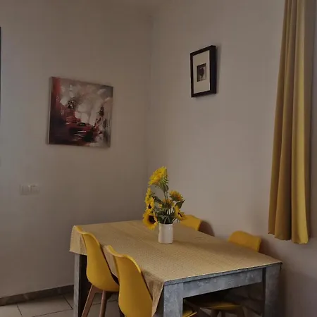 Jose's Cozy Little Apartman Funchal