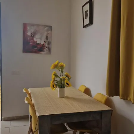Jose's Cozy Little Apartamento Funchal (Madeira)