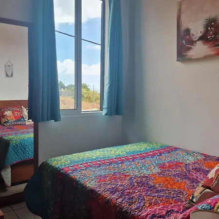 Apartment Jose's Cozy Little Funchal (Madeira)
