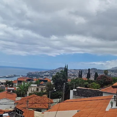 Jose's Cozy Little *