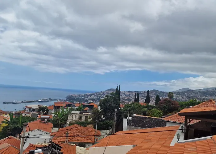 Jose's Cozy Little *